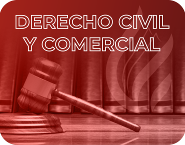 derecho civil y comercial