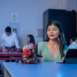 Ingeniería de sistemas