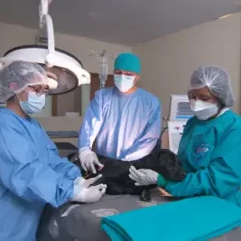 Medicina Veterinaria