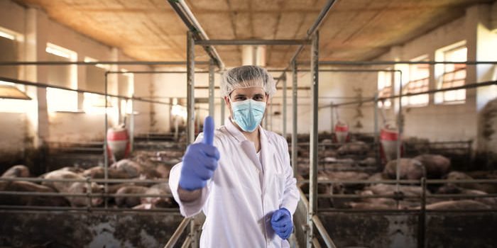 Innovación y tradición se unen en el I Wanka Chicken Pork.