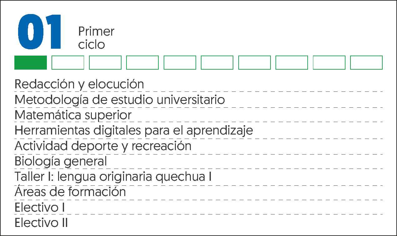 MALLA CURRICULAR EDUCACIÓN PRIMARIA-1