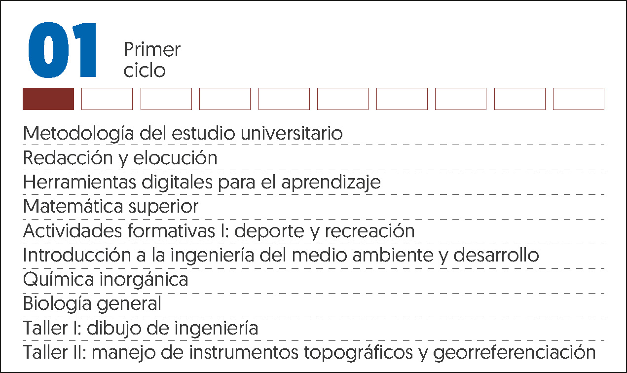 MALLA CURRICULAR ING MEDIO AMBIENTE Y DESARROLLO-1