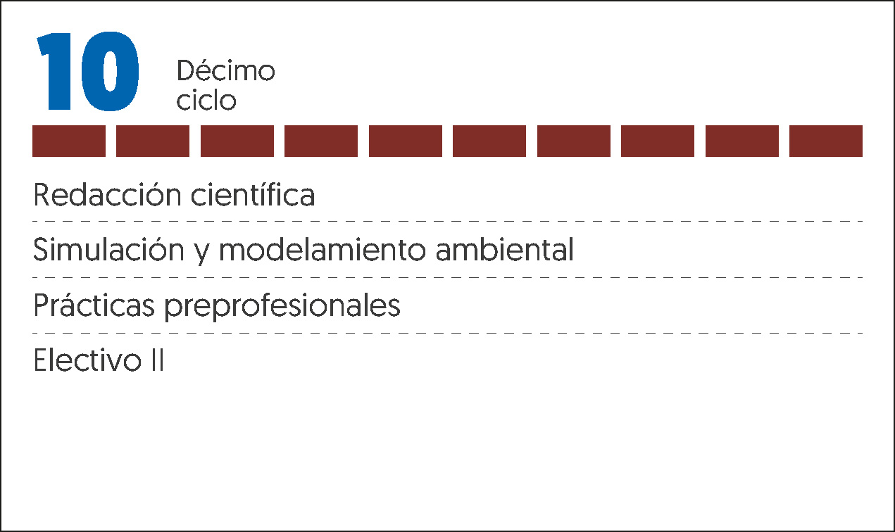 MALLA CURRICULAR ING MEDIO AMBIENTE Y DESARROLLO-10