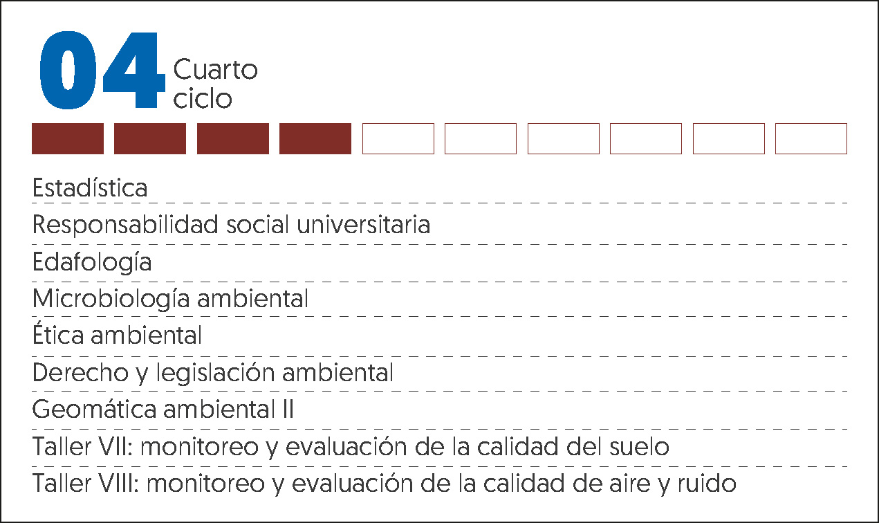 MALLA CURRICULAR ING MEDIO AMBIENTE Y DESARROLLO-4