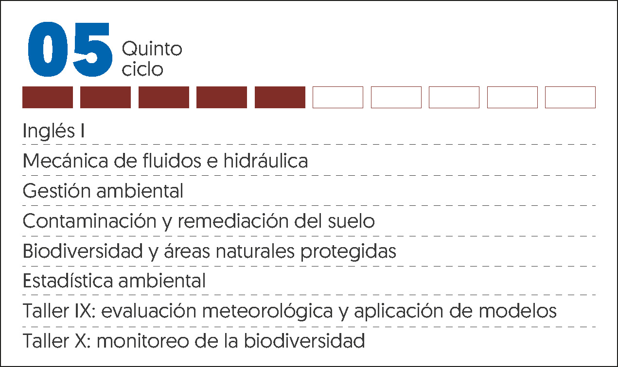 MALLA CURRICULAR ING MEDIO AMBIENTE Y DESARROLLO-5