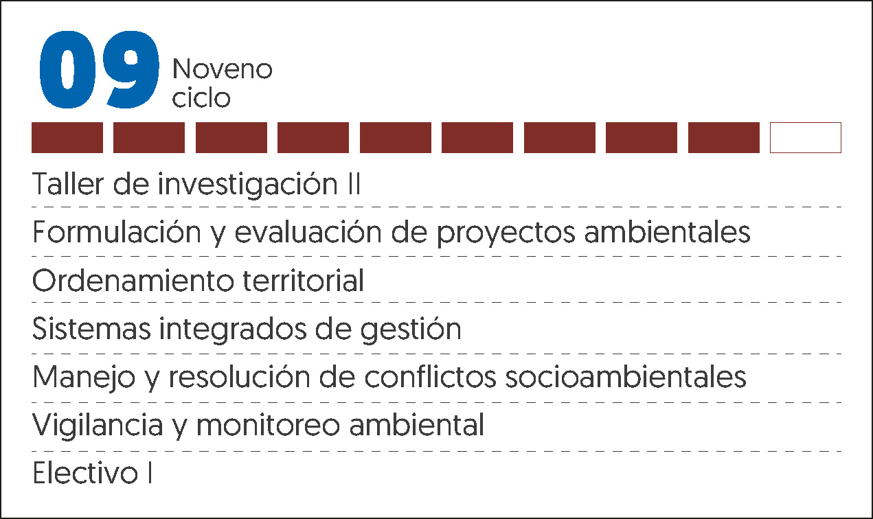 MALLA CURRICULAR ING MEDIO AMBIENTE Y DESARROLLO-9