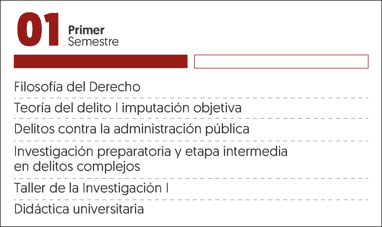 MALLA CURRICULAR MAESTRIA EN CIENCIAS PENALES-1