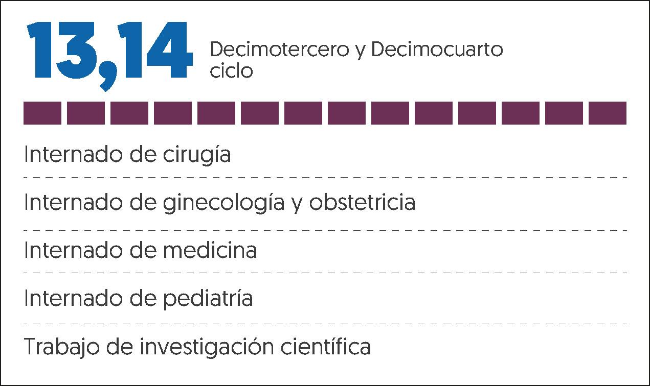 MALLA CURRICULAR MEDICINA HUMANA-13