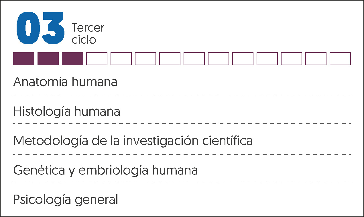 MALLA CURRICULAR MEDICINA HUMANA-3