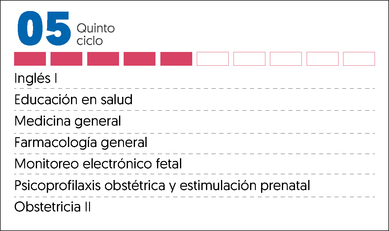 MALLA CURRICULAR OBSTETRICIA-5