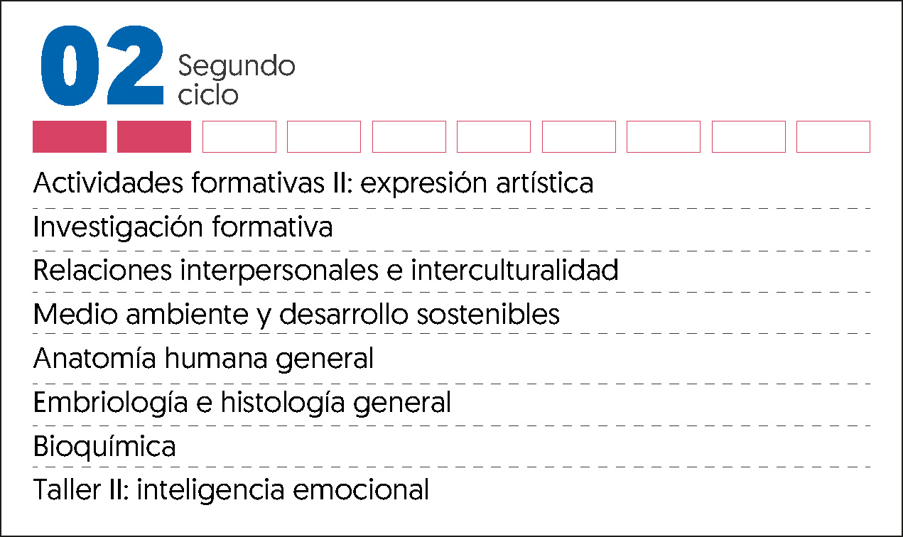 MALLA CURRICULAR ODONTOLOGIA-2