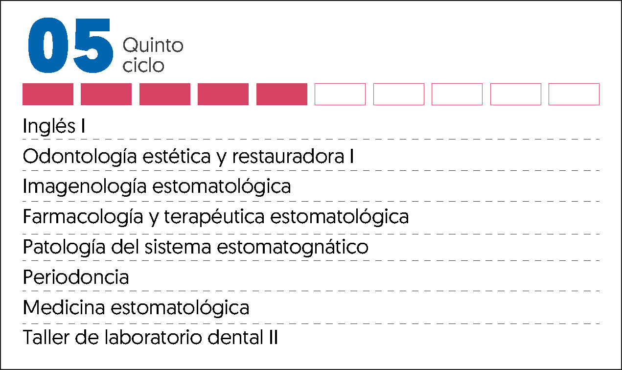 MALLA CURRICULAR ODONTOLOGIA-5