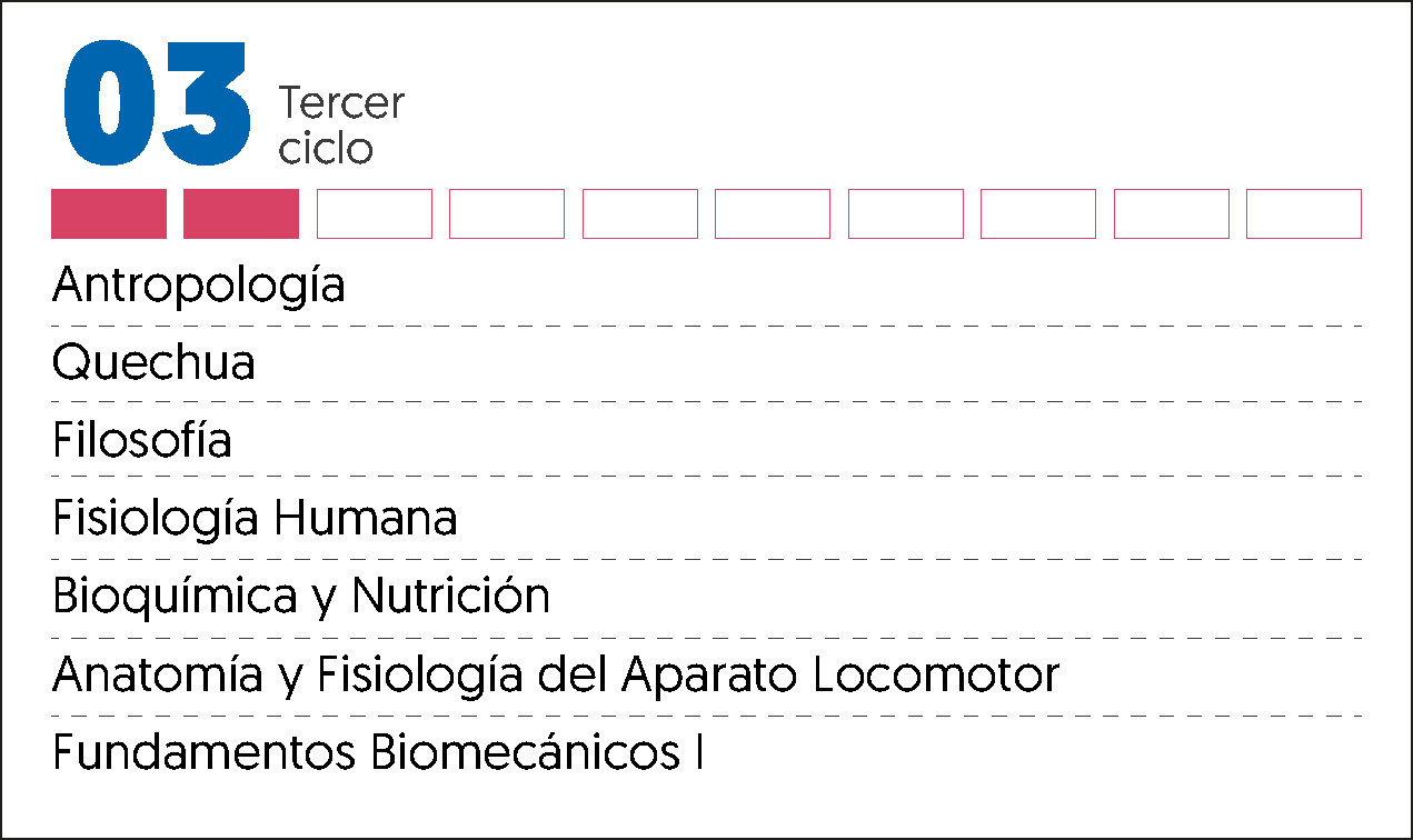 MALLA CURRICULAR TERAPIA FISICA Y R-3